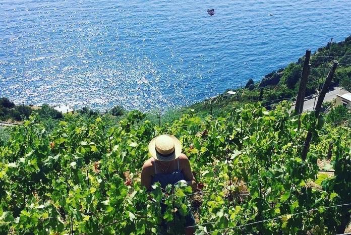 Willa Refuge Uwabio Organic Vineyard Cinqueterre Riomaggiore Zewnętrze zdjęcie