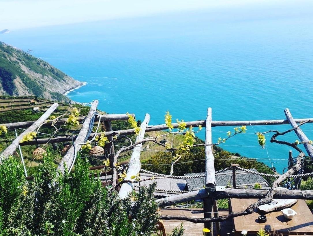 Willa Refuge Uwabio Organic Vineyard Cinqueterre Riomaggiore Zewnętrze zdjęcie